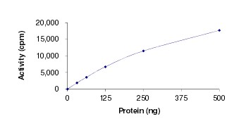 Immobilized human CD117 protein dimer, Fc Tag at 2 μg/mL (100 μL/well) can bind anti-human CD117 monoclonal antibody, with half maximal effective concentration (EC50) range of 2.5-10.2 ng/mL (QC tested).